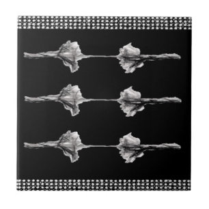 Carreaux en céramique blanc et noir