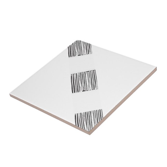 Carreaux en céramique blanc et noir (Côté)