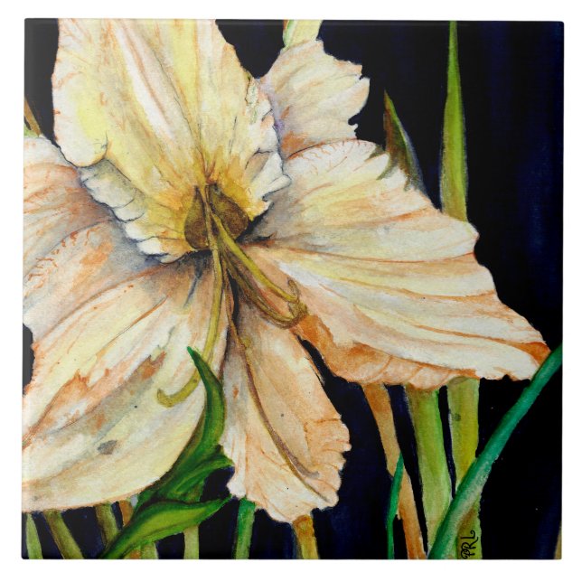 Carreaux en céramique blanche (Devant)