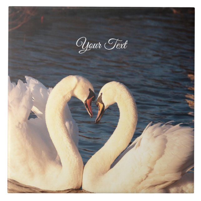 Carreaux en céramique des Cygnes blancs (Devant)