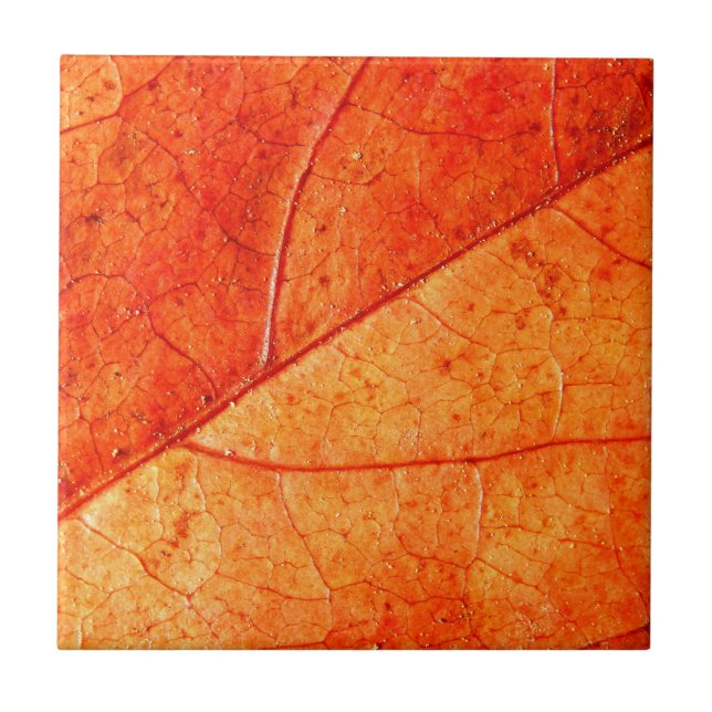 Carreaux en céramique feuille d'automne (Devant)