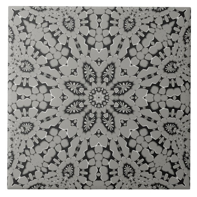 Carreaux en céramique gris (Devant)