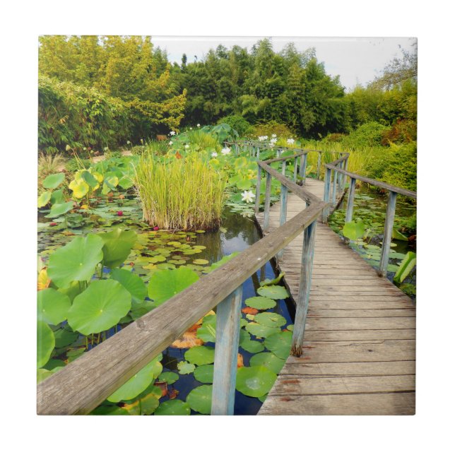 Carreaux en céramique Lily Pond (Devant)