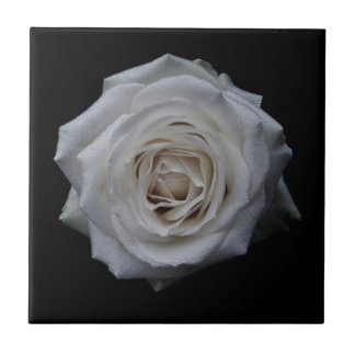 Carreaux en céramique rose blanche