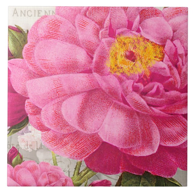 Carreaux en céramique rose Redoute (Devant)
