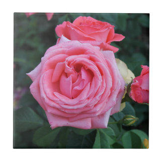 Carreaux en céramique rose Roses