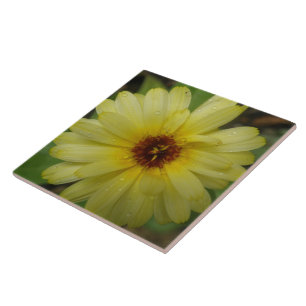 Carreaux Marigold Jaune