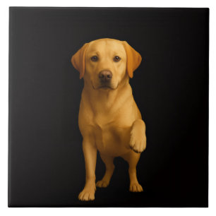 Carreaux Noir 4 Luxe avec Labrador tendre