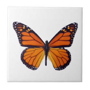 Carreaux papillon orange