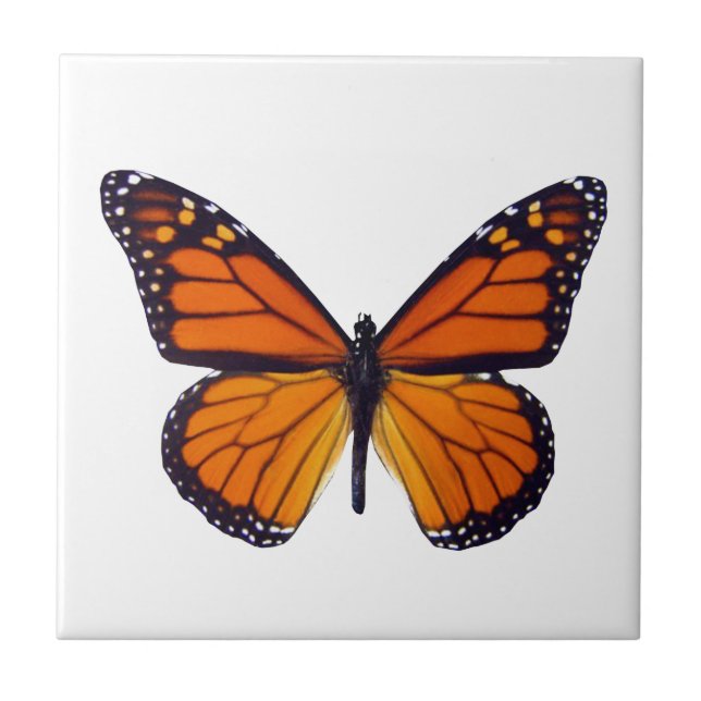 Carreaux papillon orange (Devant)