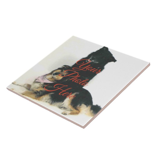 Carreaux photo en céramique personnalisée - 2 tail (Côté)