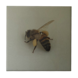 Carreaux photo en céramique pour abeille de miel (
