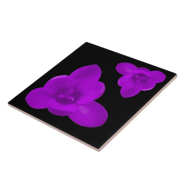Carreaux pourpres Fleur Crocus (Côté)