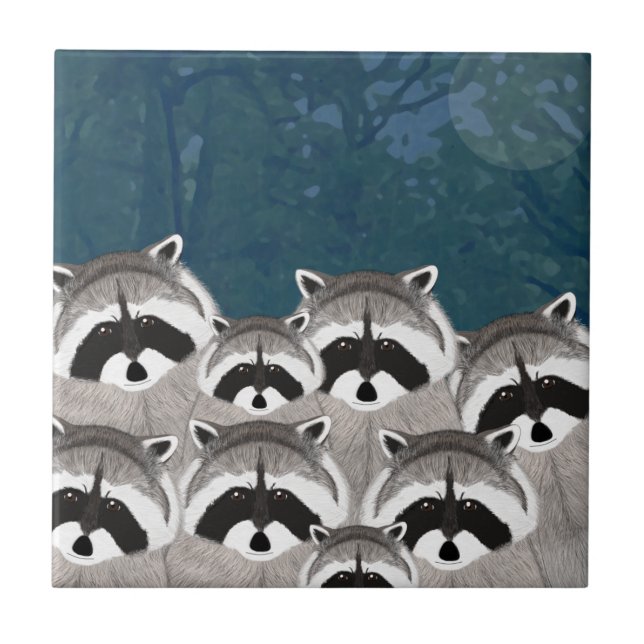 Carreaux Raccoons (Devant)