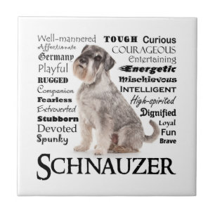 Carreaux Schnauzer