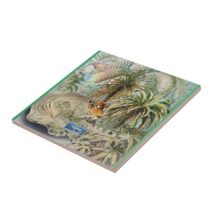 Carreaux vert clair (fièvre de la jungle) RFPMDesi