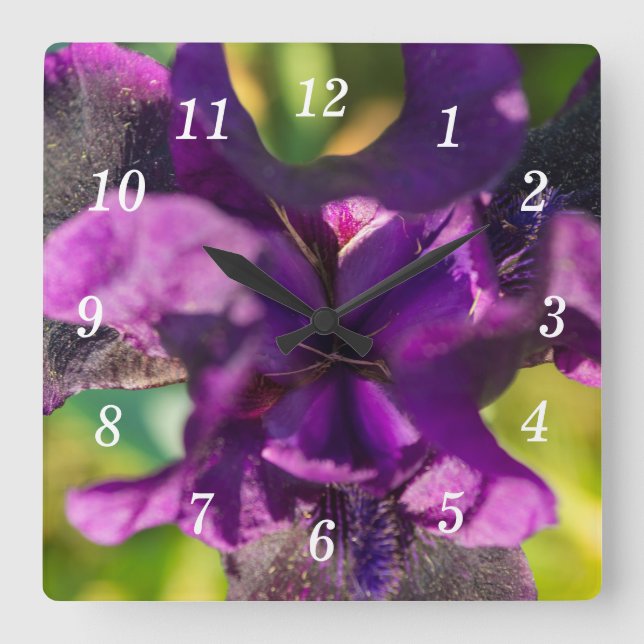 Carrée À L'Intérieur D'Une Horloge Mur Iris (Recto)