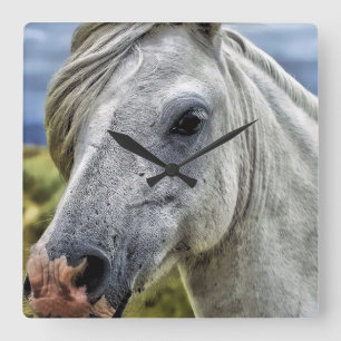 Carrée Belle horloge à cheval gris