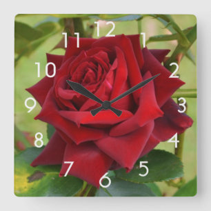 Carrée Belle horloge rouge Rose Mur
