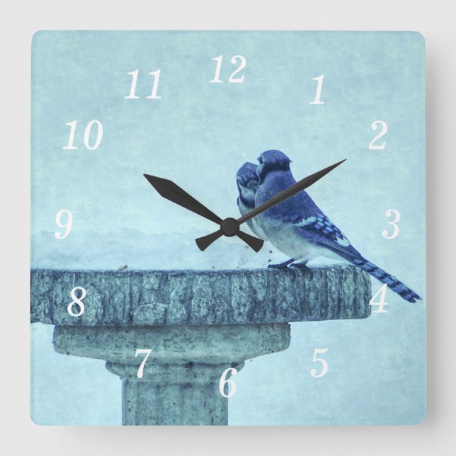 Carrée Bleu Jays hiver Nourriture Painterly Mur Horloge (Recto)