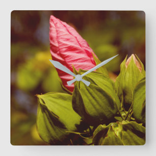 Carrée Boule rose Fleur Jardin Floral Horloge photo