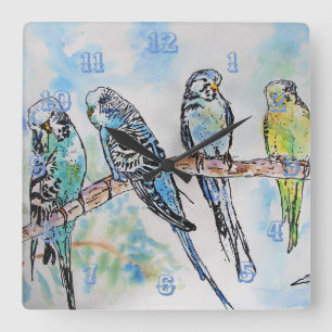 Carrée Budgies Budgie Budgerigar Bird Room Horloge