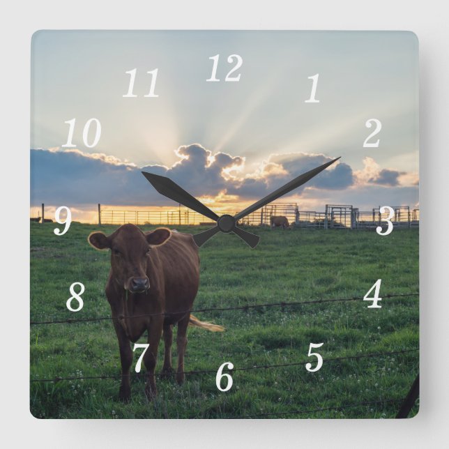 Carrée Cattle Farm Sunset Wall Horloge (Recto)