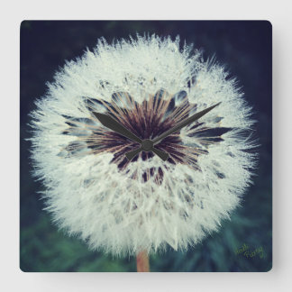 Carrée Dewy Dandelion Horloge ...Horloge!