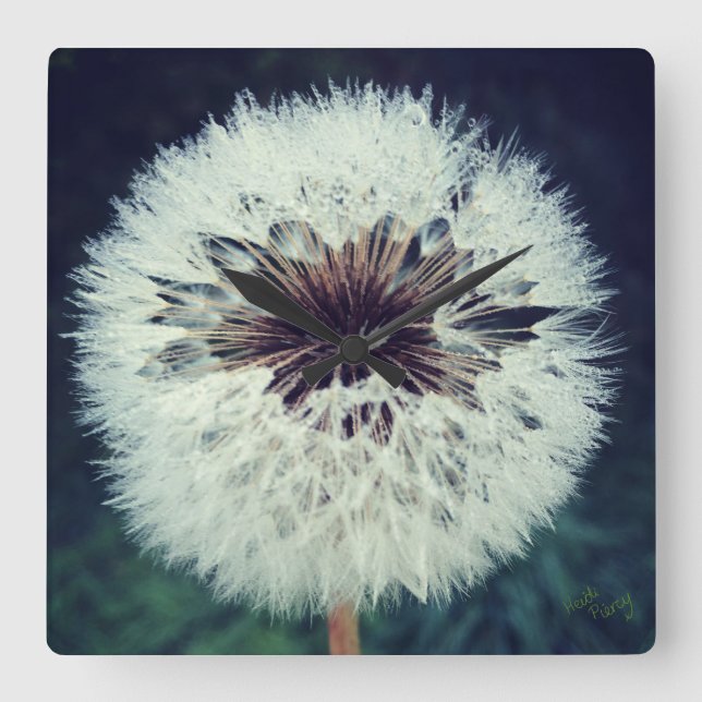 Carrée Dewy Dandelion Horloge ...Horloge! (Recto)