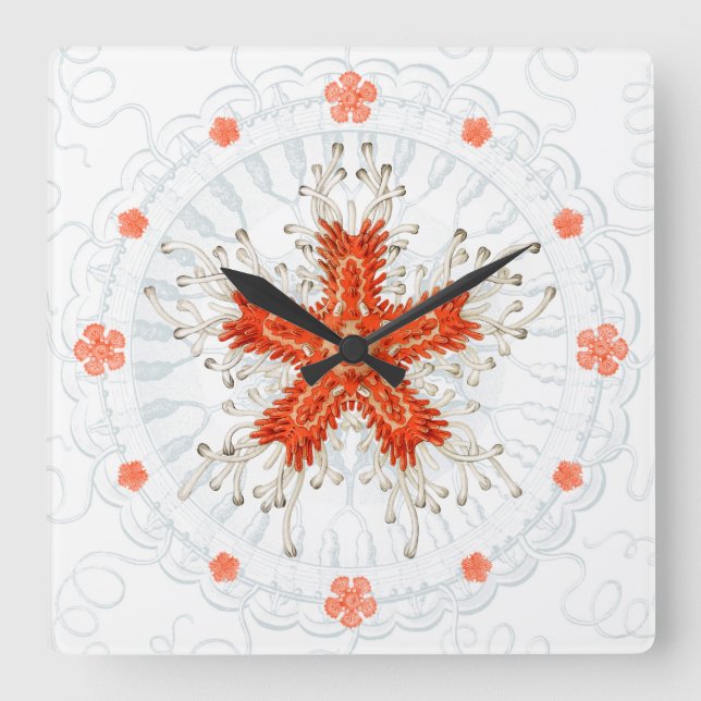 Carrée Estarfish rouge sur texture marine vintage Horloge (Recto)