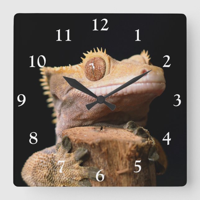 Carrée Gecko en crête sur Black Large Horloge (Recto)