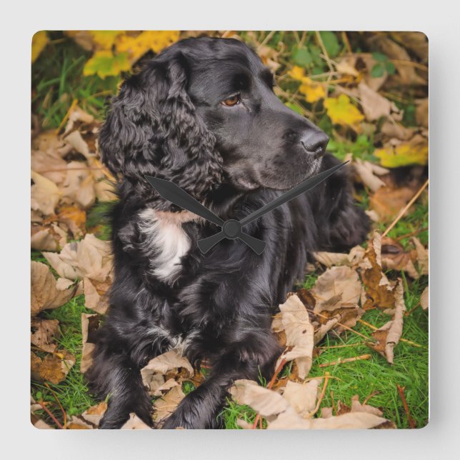 Carrée Horloge (Recto)