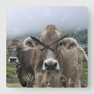 Carrée Horloge alpine de vaches avec des nombres