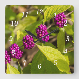 Carrée Horloge américaine du mur de Beautyberry