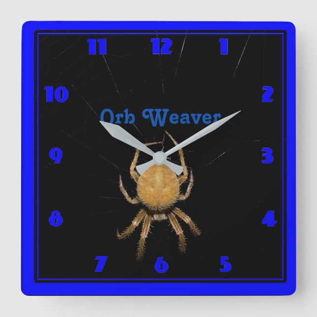 Carrée Horloge Carré du Kansas Orb Weaver (Recto)