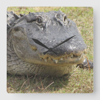 Carrée Horloge d'alligator