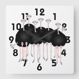 Carrée Horloge d'autruche