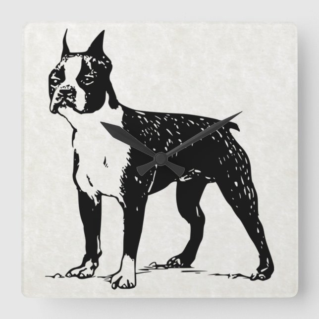 Carrée horloge de boston terrier (Recto)
