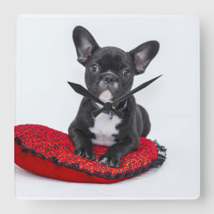 Carrée Horloge de bouledogue français