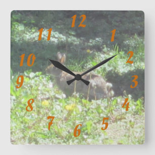 Carrée Horloge de Bunny sauvage