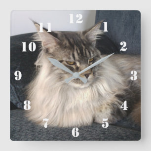 Carrée Horloge de Cat Coon du Maine