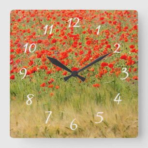 Carrée horloge de fleurs d'été rouge