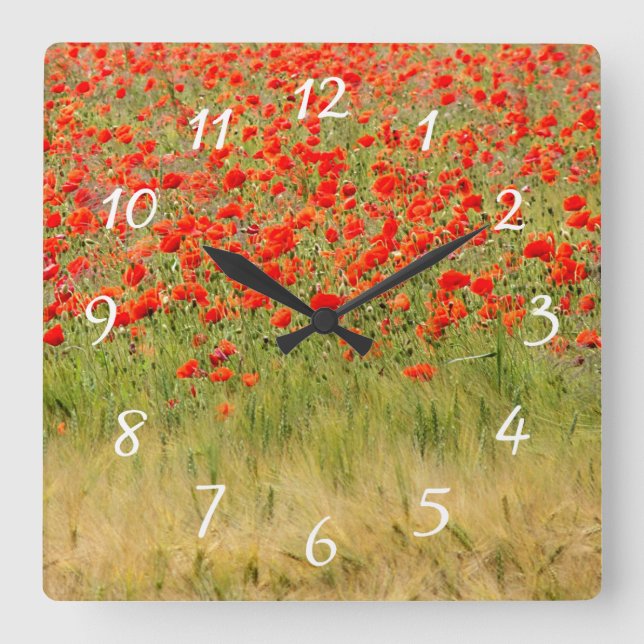 Carrée horloge de fleurs d'été rouge (Recto)