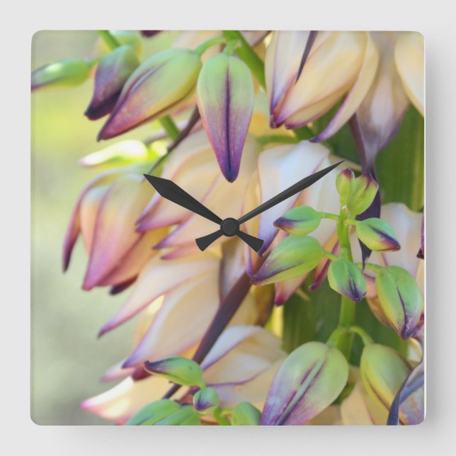 Carrée horloge de fleurs yucca (Recto)