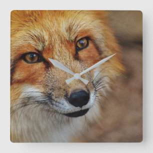 Carrée Horloge de Fox rouge