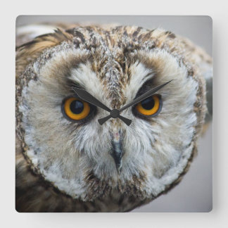 Carrée Horloge de hibou