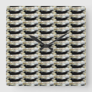 Carrée horloge de phoques noirs