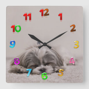 Carrée Horloge de tzu de sommeil Shih, chien de sommeil