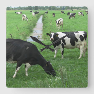 Carrée Horloge de vache