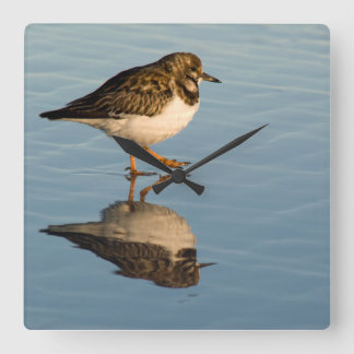 Carrée Horloge d'océan de réflexion de photo d'oiseau de